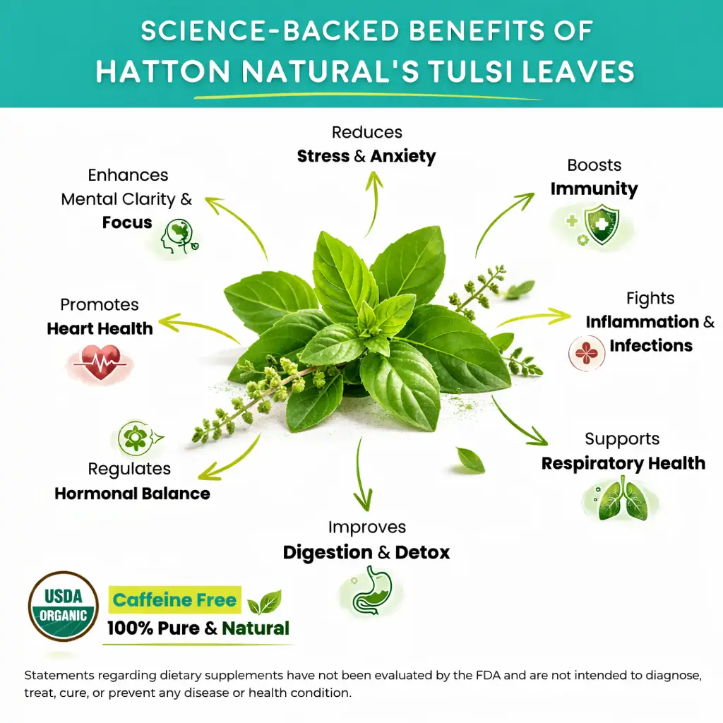 Organic Tulsi Leaves Cut & Sifted benefits