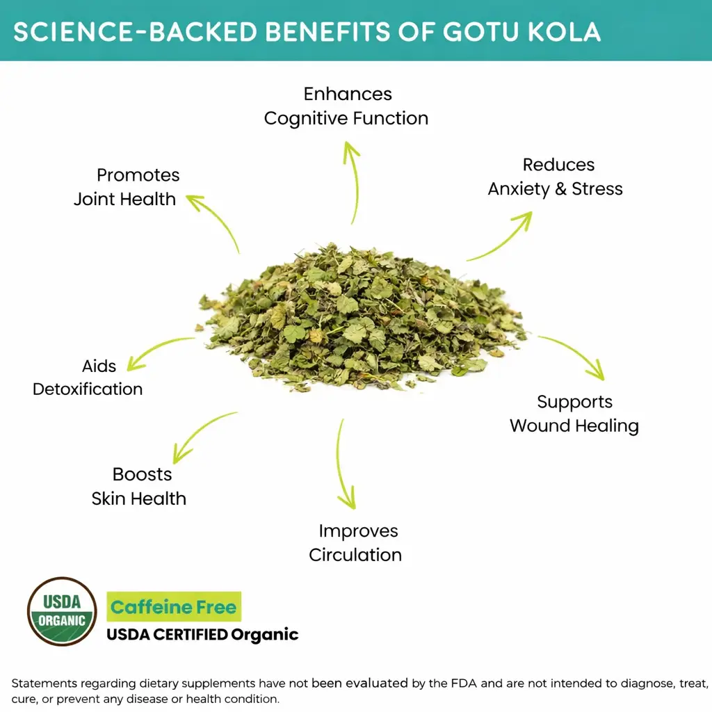benefits of Organic Gotu Kola Powder