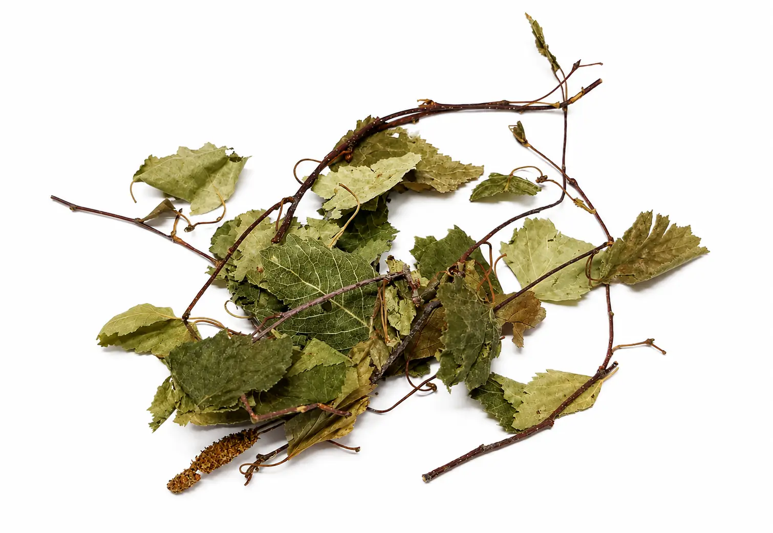 Organic Birch Leaf Whole