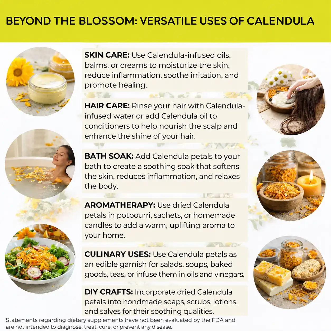 beyond the blossom of calendula