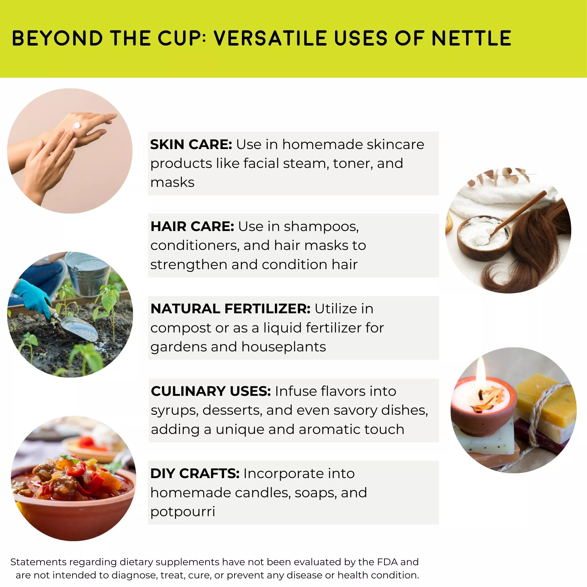 organic Nettle Leaf