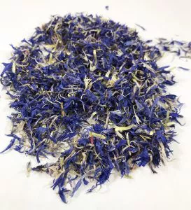 blue cornflower
