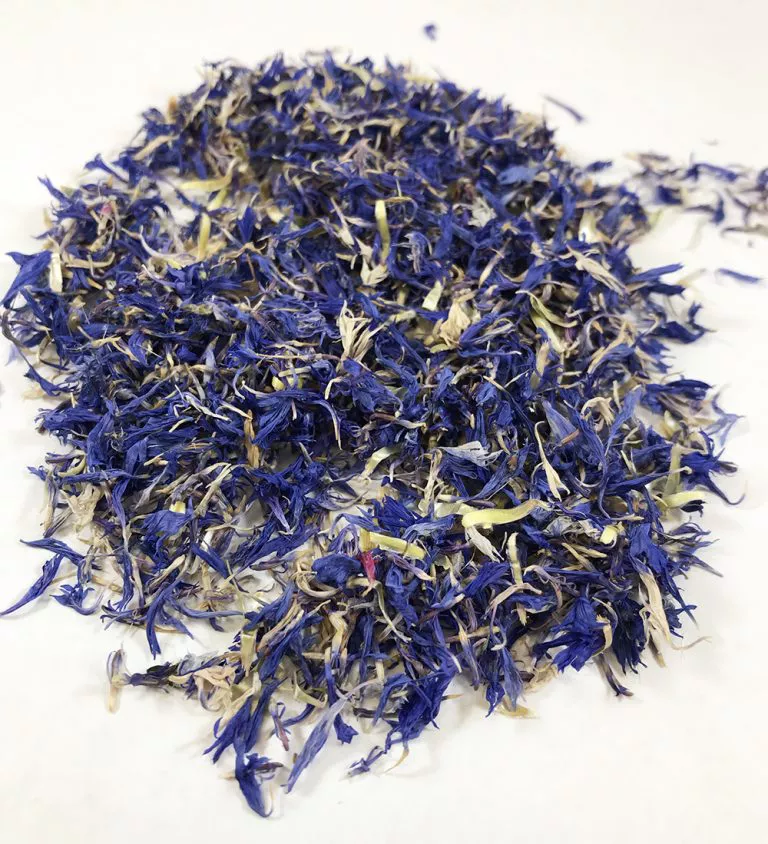 blue cornflower