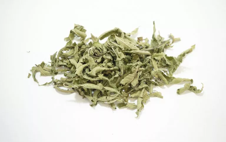 lemon verbena whole