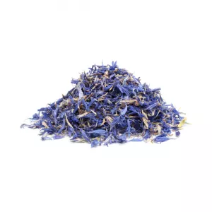 blue cornflower petals Cornflower Blue Petals