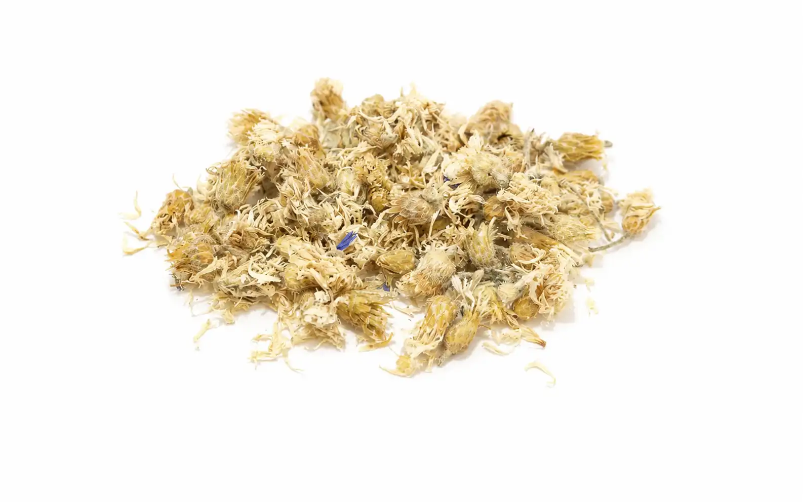 Organic Cornflower white