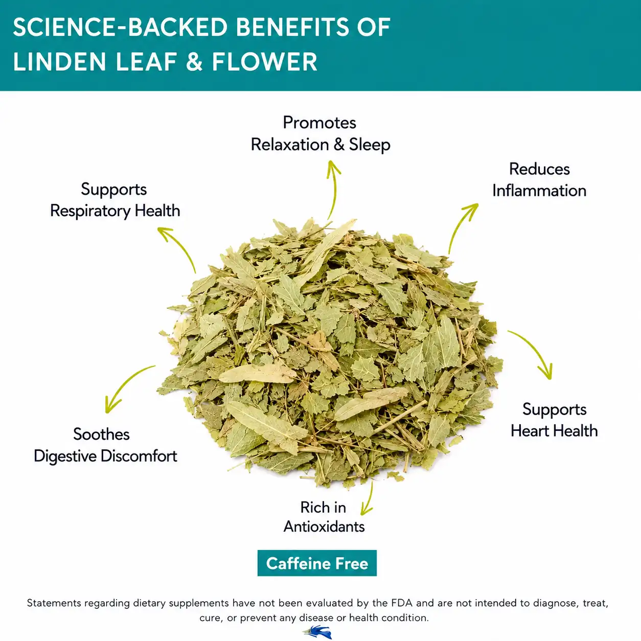 Organic Linden Tilia lime blossom benefits