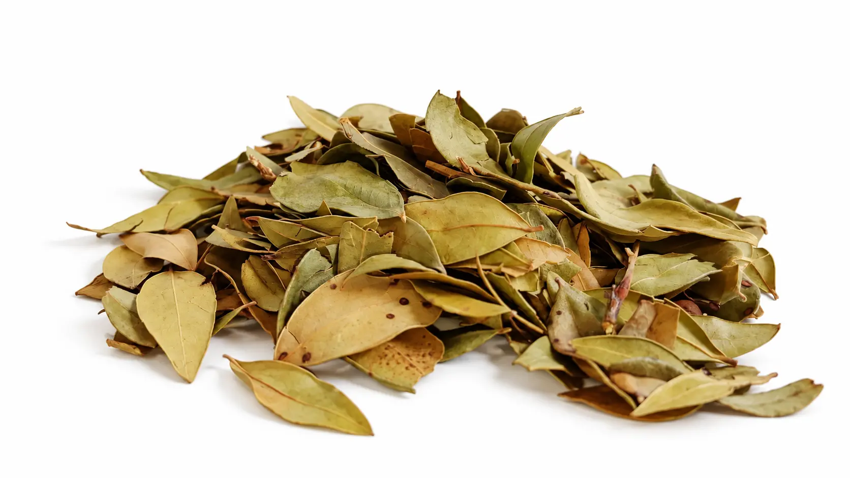 Organic Myrtle Leaf - Bulk Organic Wholesale