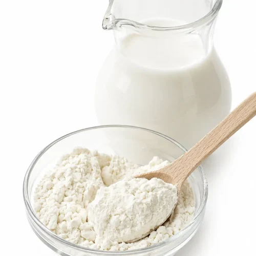 Organic Coconut Milk Powder Vegan