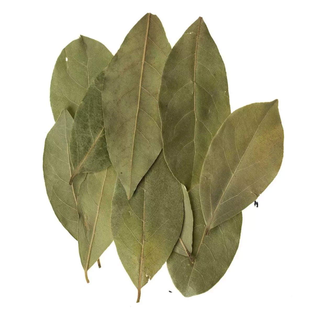 Organic Bay Leaves - Bulk Organic Wholesale