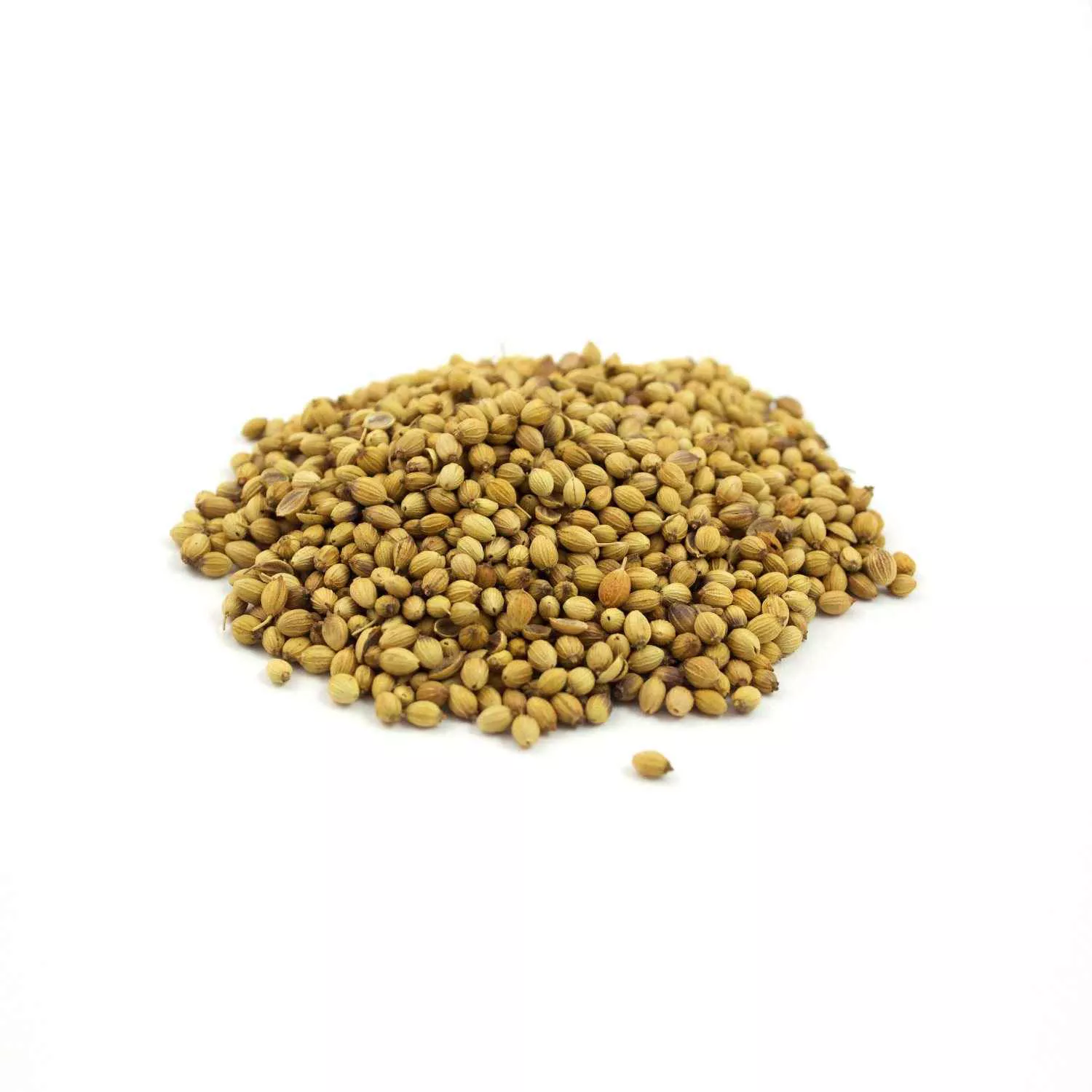Organic Coriander Seeds - Bulk Organic Wholesale