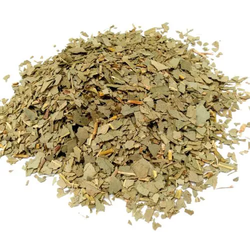 Organic Eucalyptus Leaves
