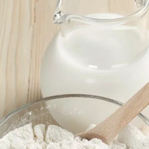 Organic Coconut Milk Powder