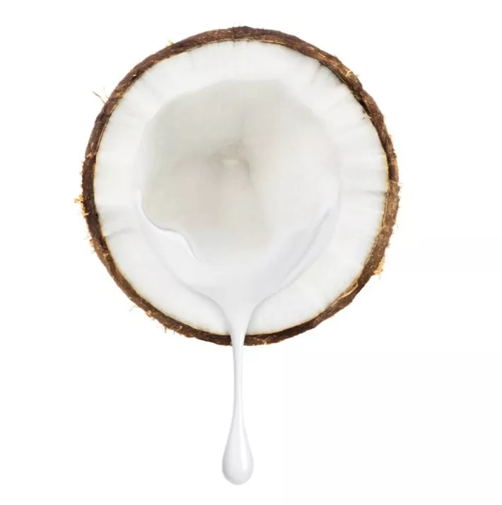 Organic Coconut milk