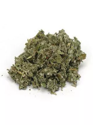 Organic Raspberry Leaf