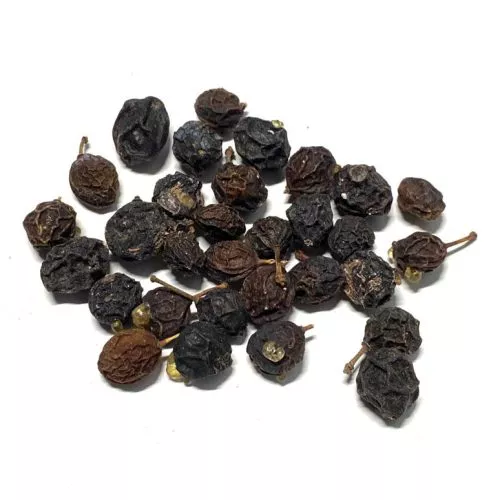 Organic Sloe Berry Blackthorn