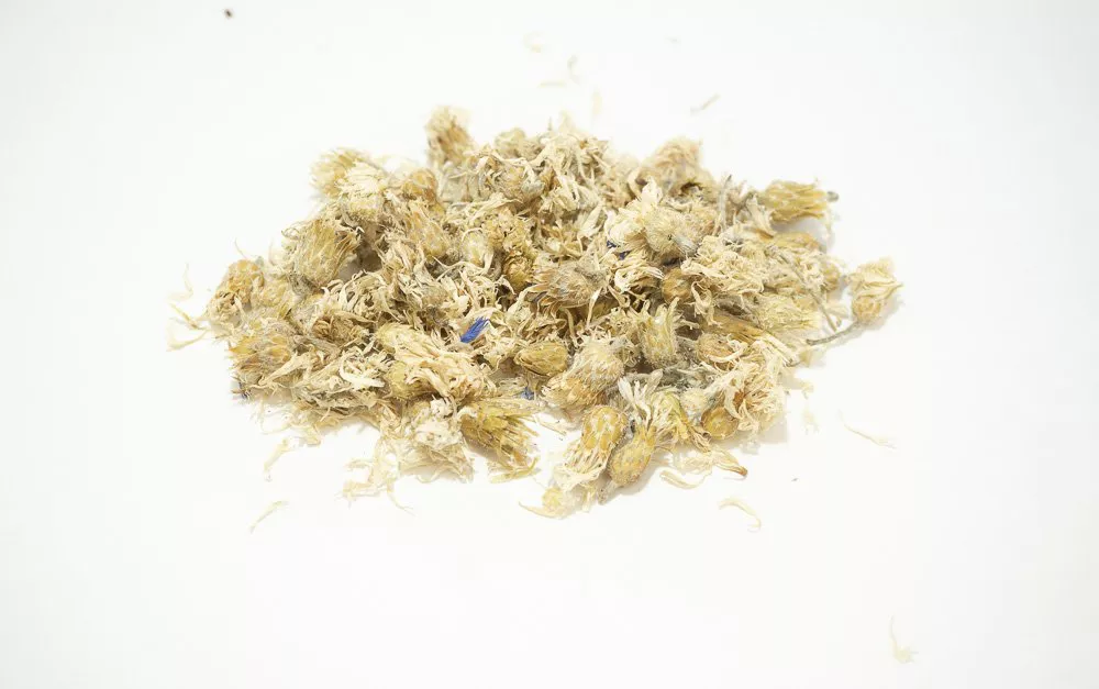 Organic Cornflower white