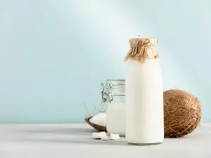Vegan Coconut Milk Powder