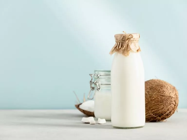 Vegan Coconut Milk Powder