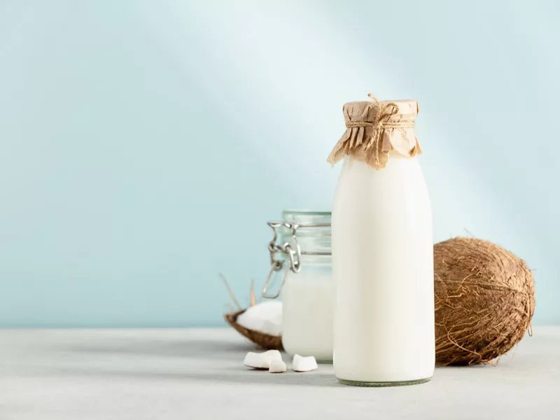 Vegan Coconut Milk Powder