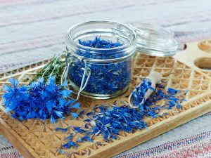 Organic Blue Cornflower Petals from Kosovo