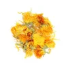 organic Calendula Flowers Whole
