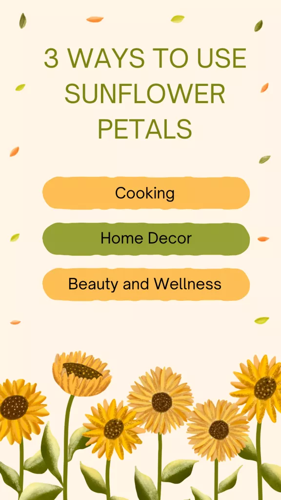 The benefits of Sunflower Petals