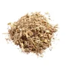 organic Wormwood Herb CS