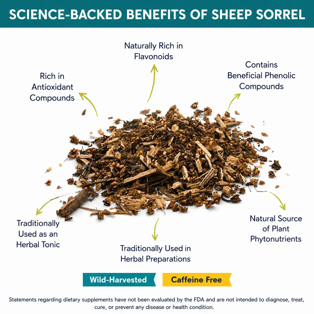 sheep sorrel wild harvested benefits