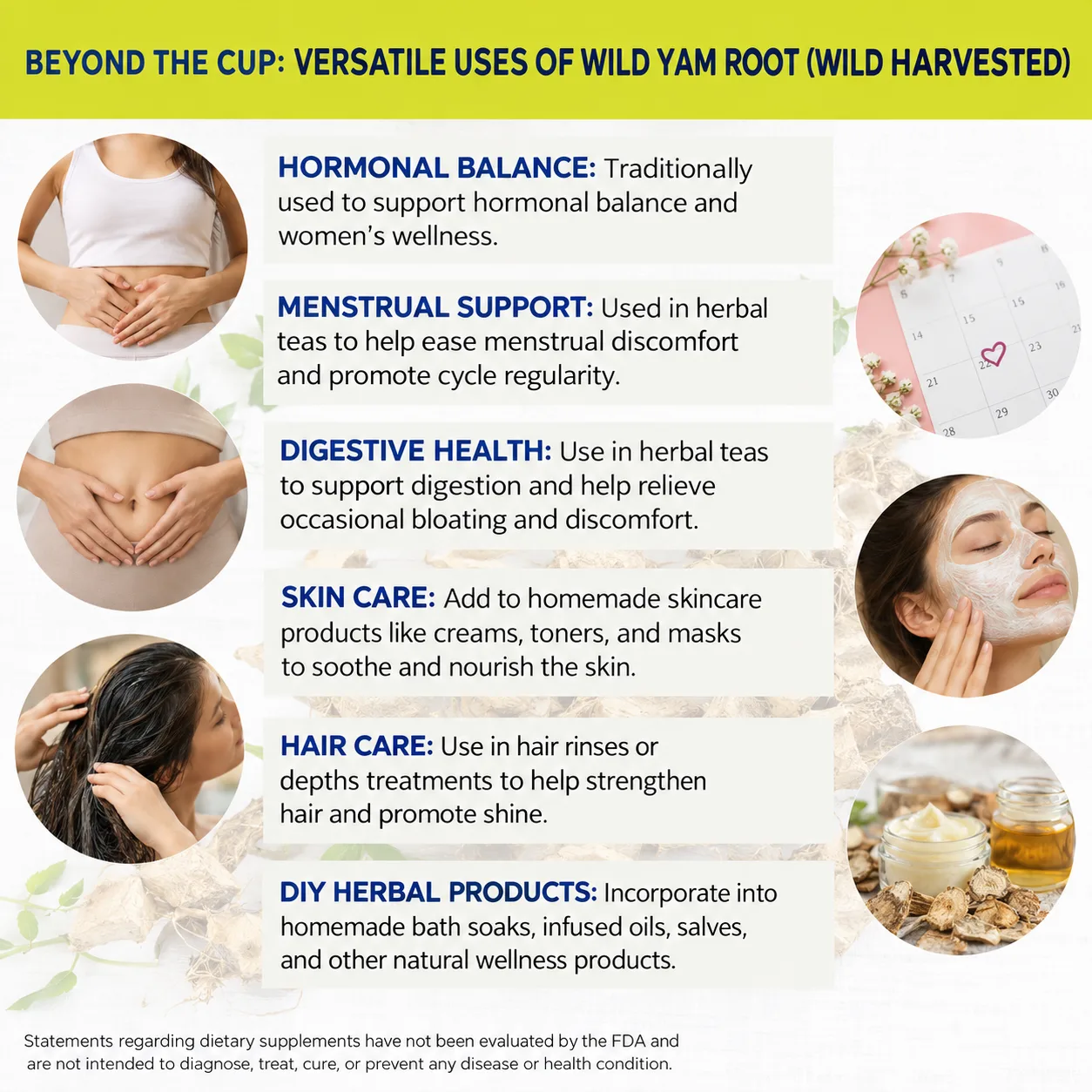 wild yam wild harvested versatile uses