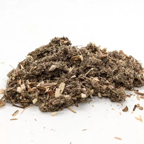 Mugwort CS Wild Harvested