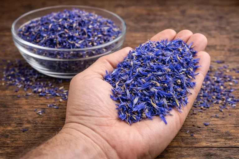 Cornflower Petals Wholesale: What Buyers Need to Know