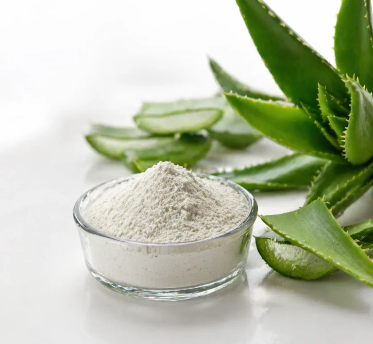 White aloe vera powder in a glass bowl with succulent plant on white background