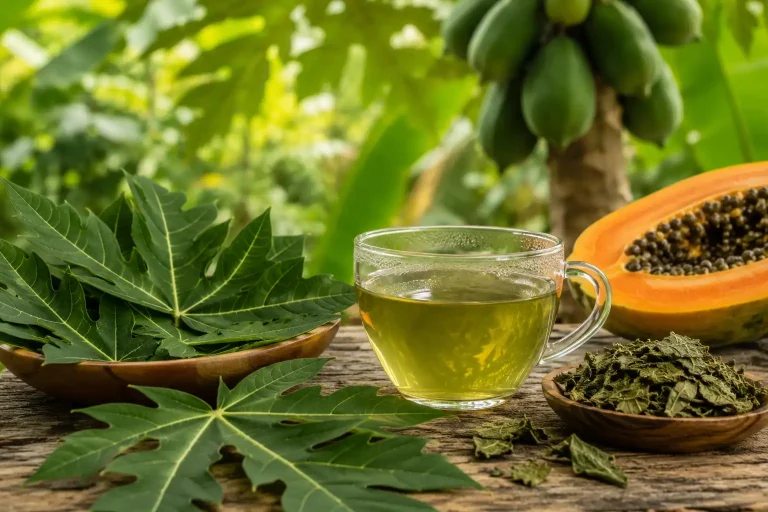 papaya leaf tea remedy
