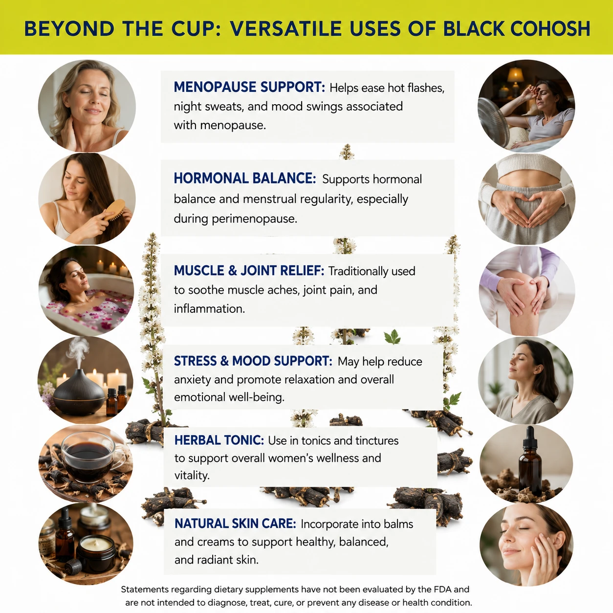 black cohosh root versatile uses