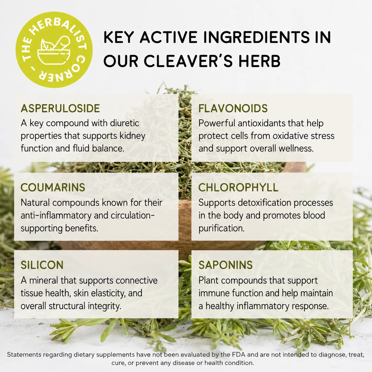 cleavers herb wild harvested key ingredients