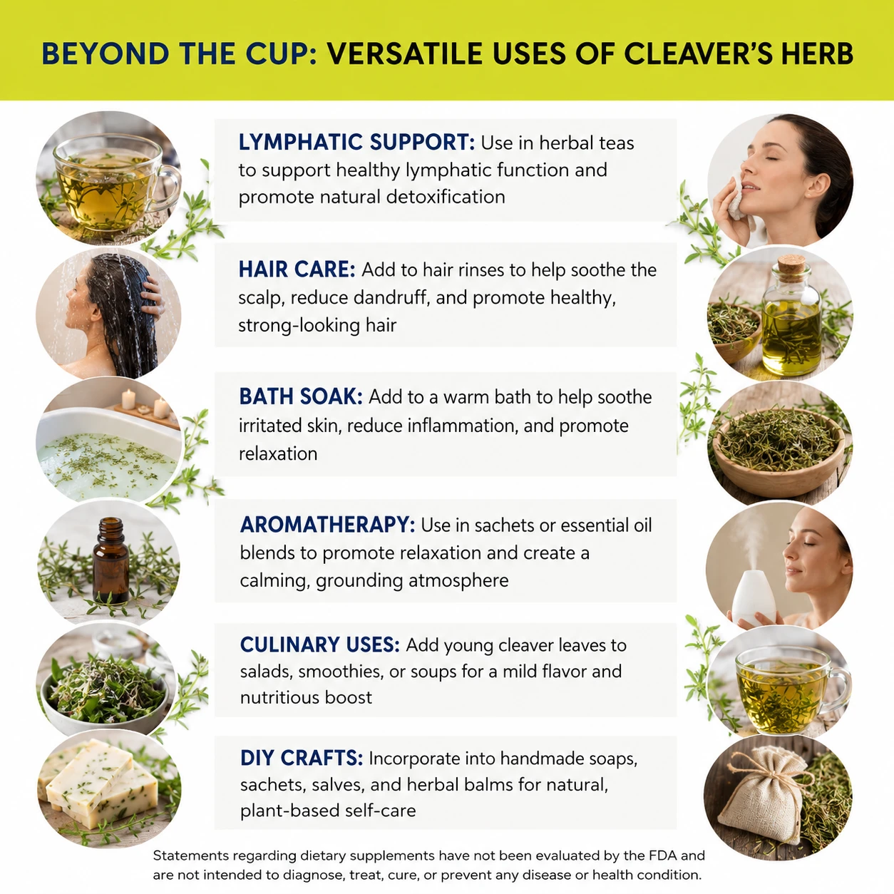 cleavers herb wild harvested versatile uses