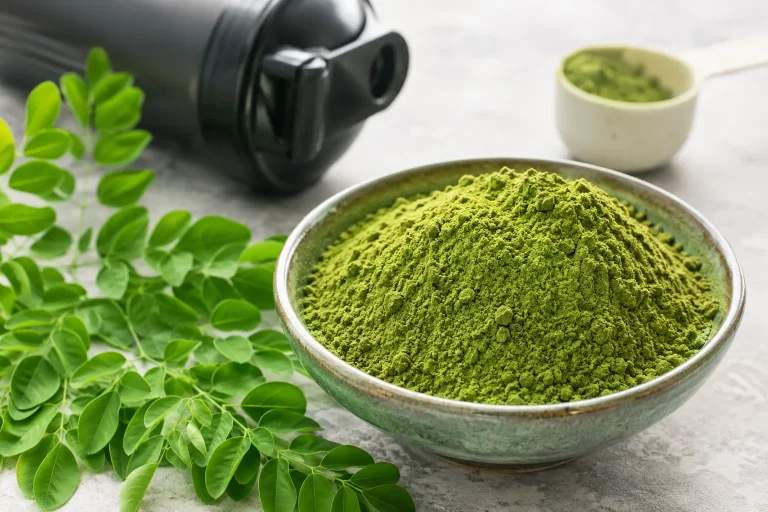 moringa protein content