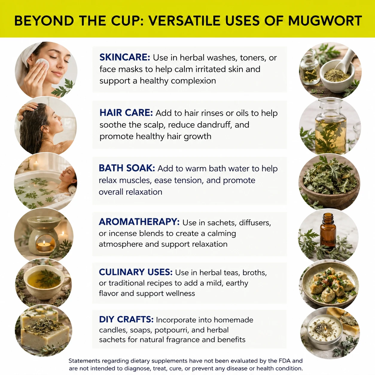 mugwort cs wild harvested versatile uses
