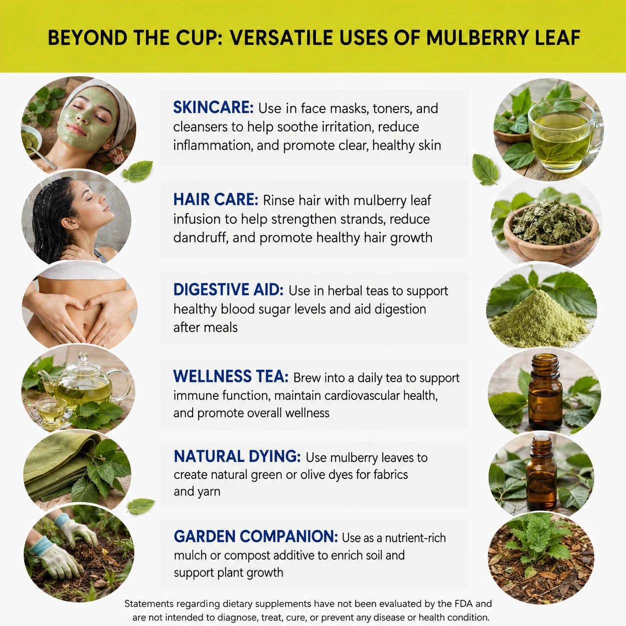 mulberry leaf wild harvested versatile uses