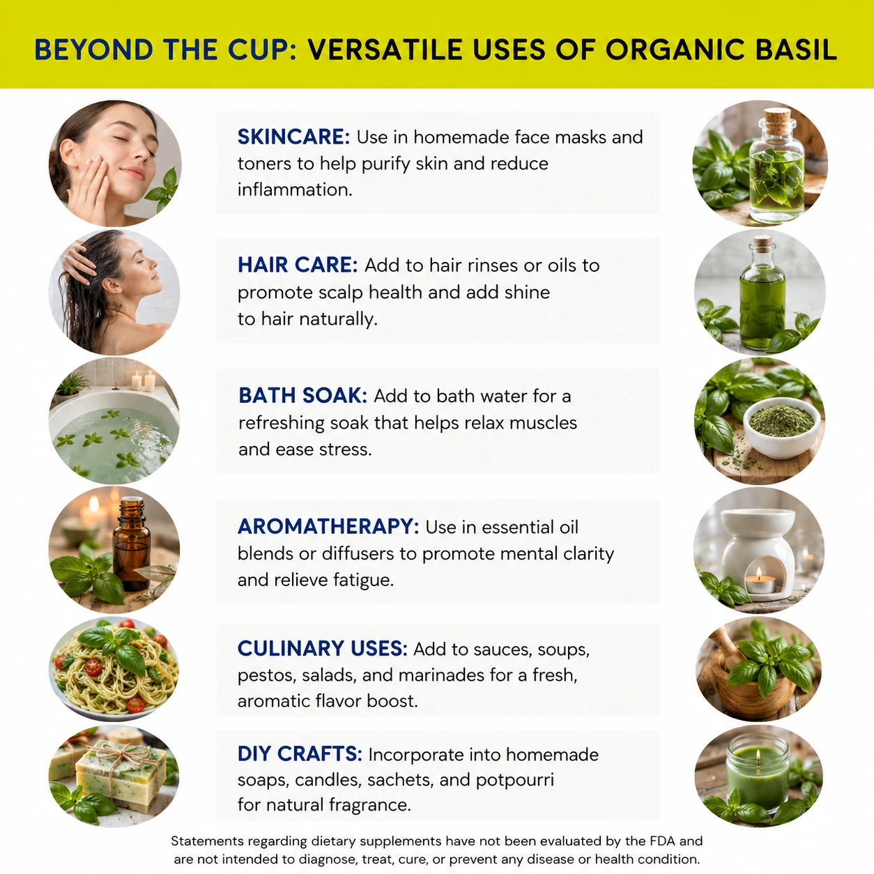 organic basil cut versatile uses