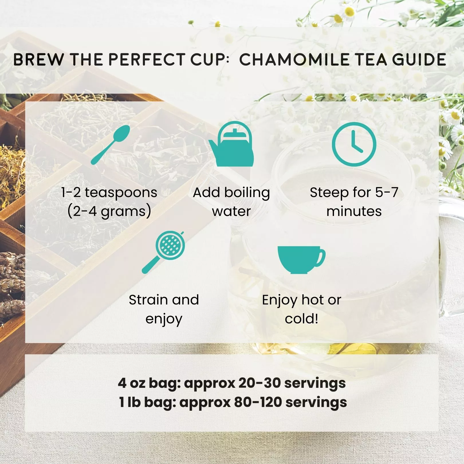 how to brew Echinacea Purpurea tea