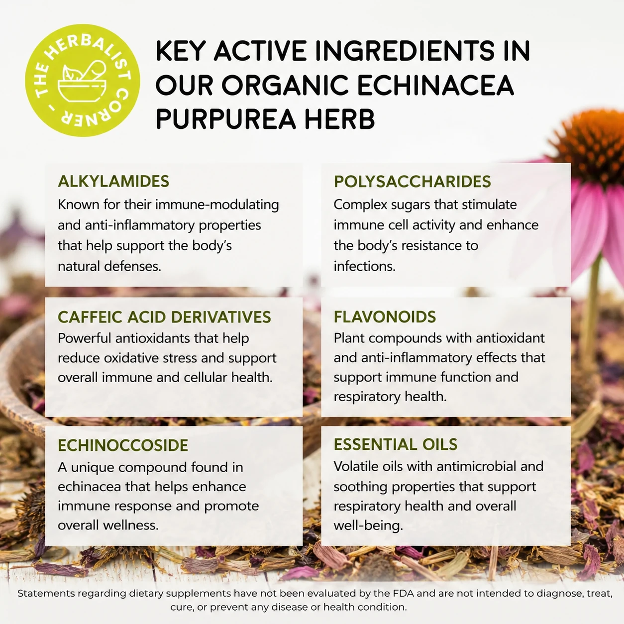 organic echinacea purpurea key ingredients
