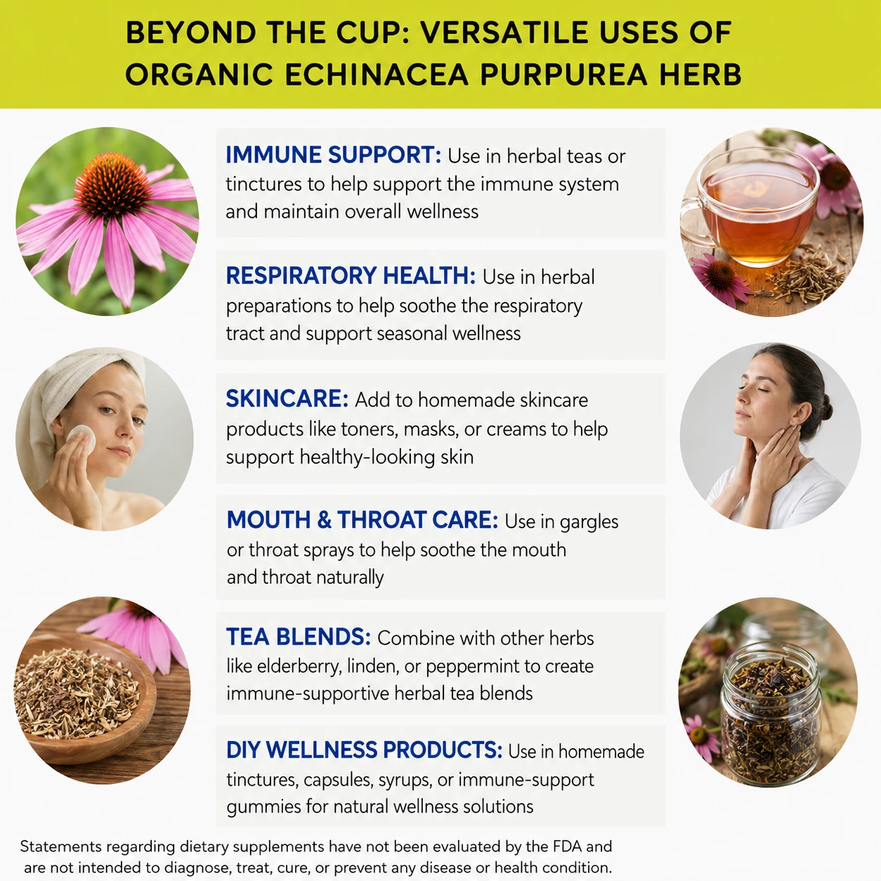 organic echinacea purpurea versatile uses