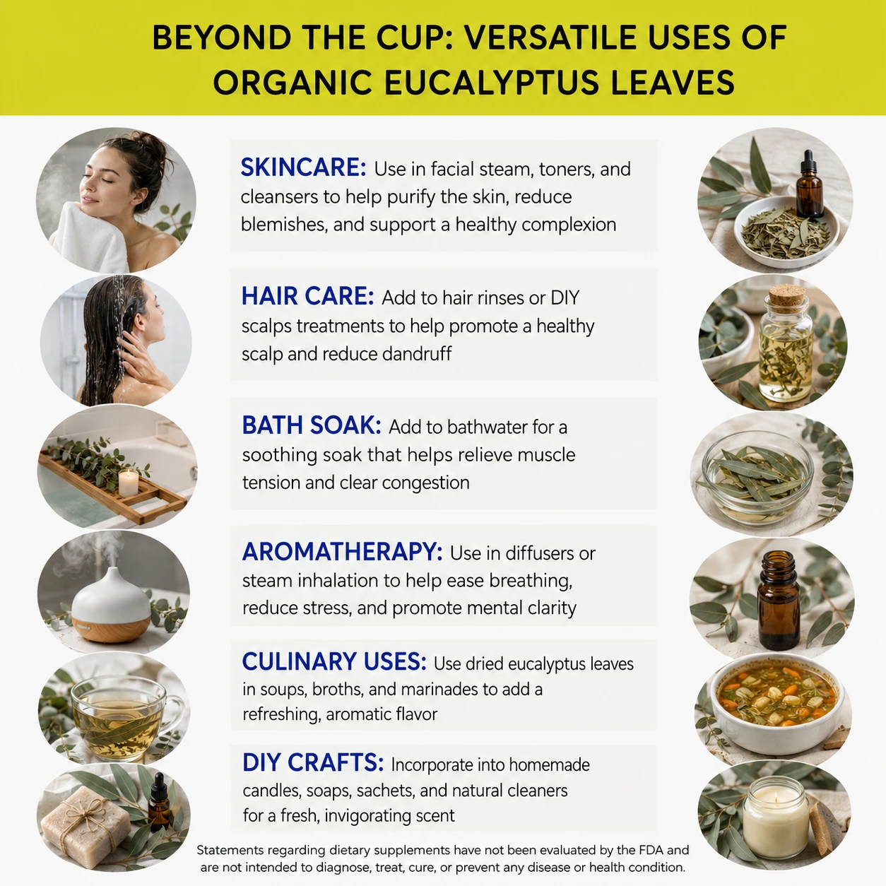 organic eucalyptus leaves versatile uses