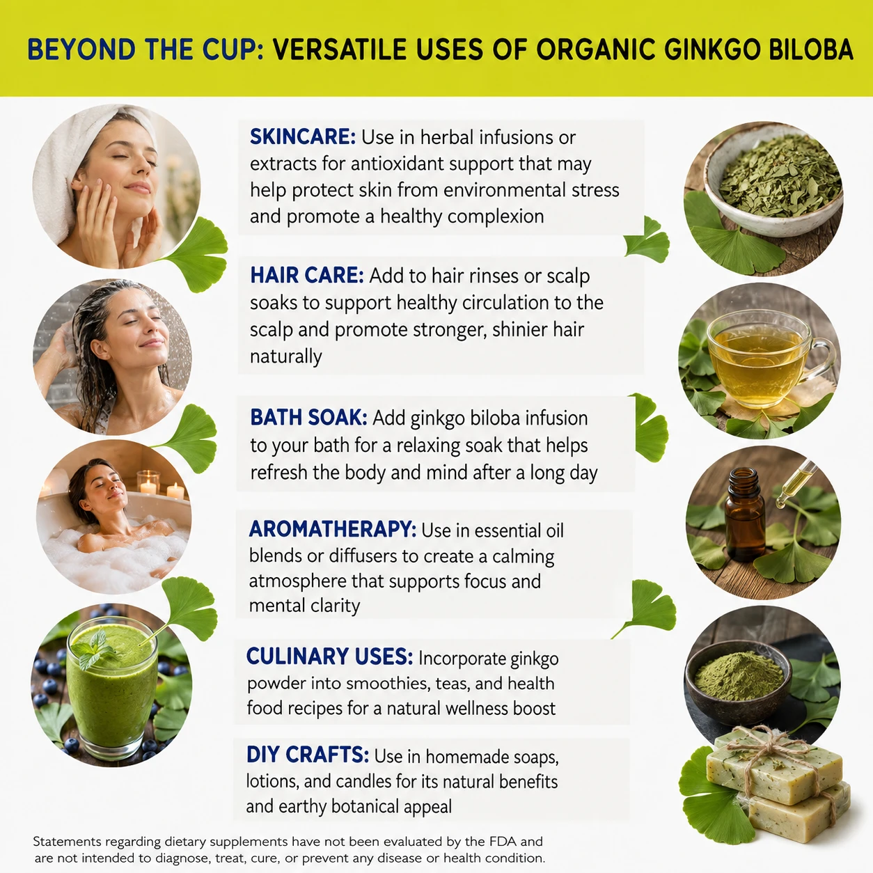 organic ginkgo biloba cs versatile uses