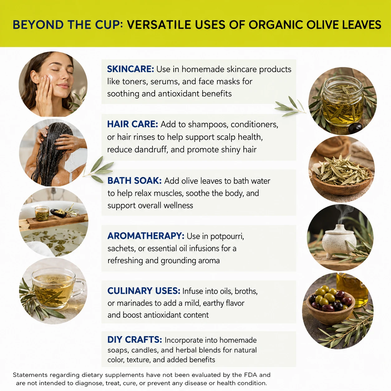 organic olive leaves versatile uses
