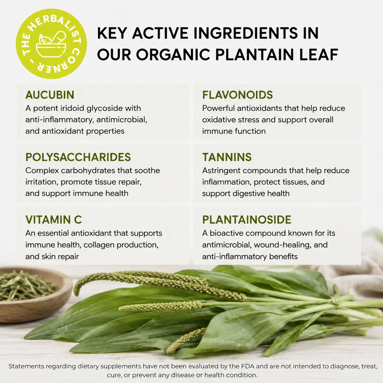 organic plantain leaf key ingredients