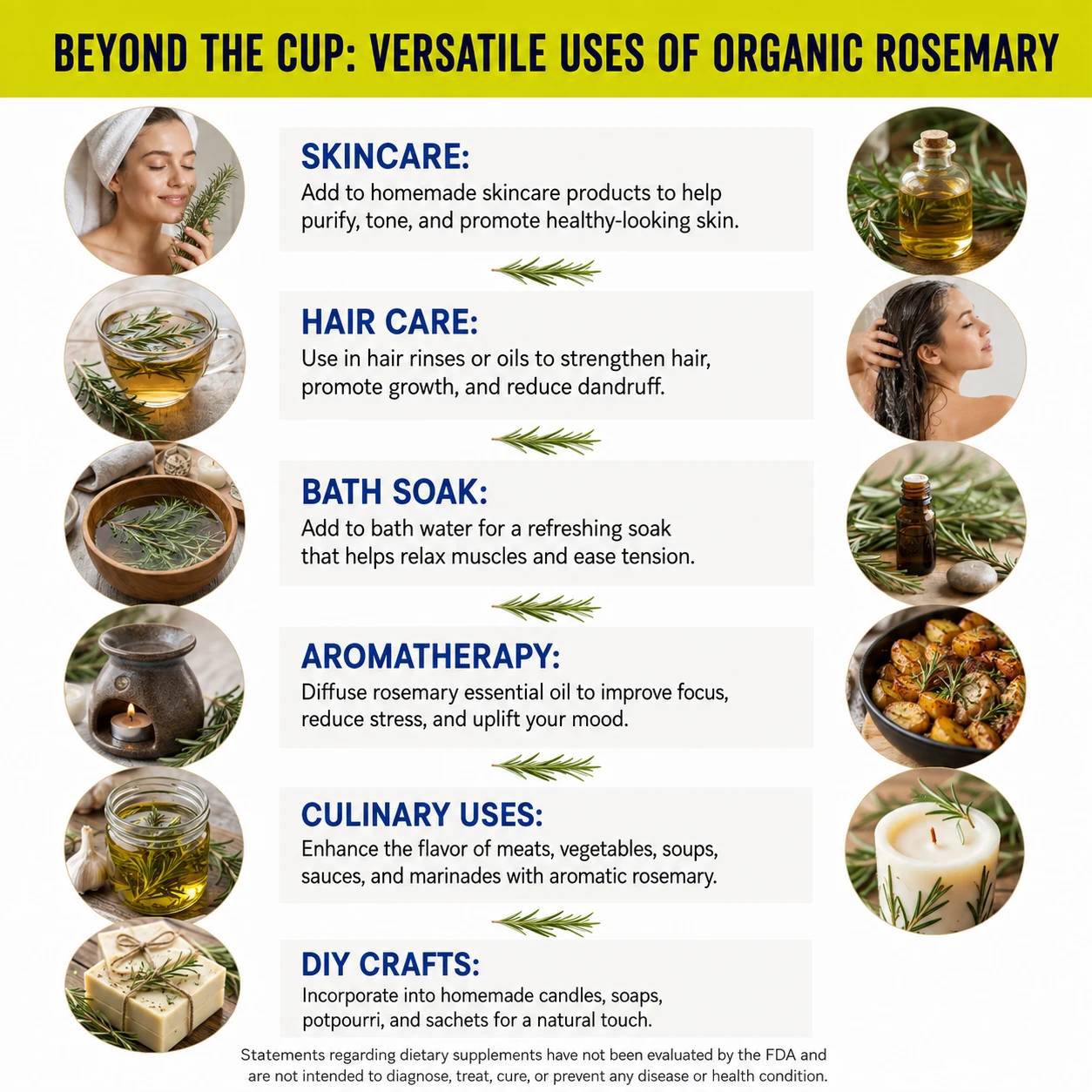 organic rosemary versatile uses