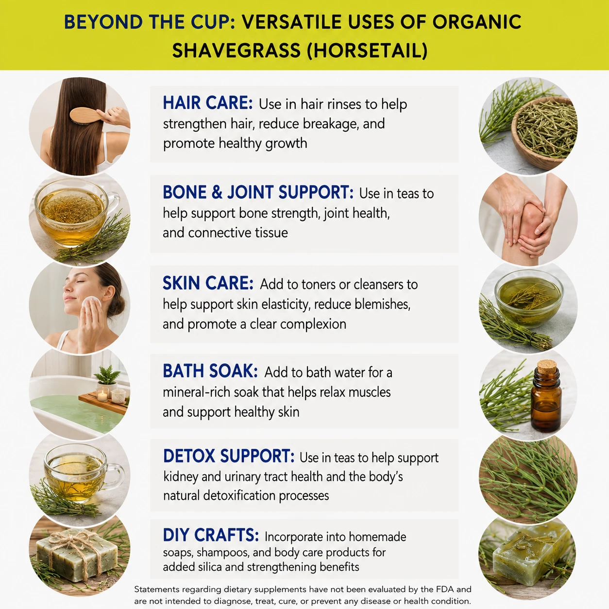 organic shavegrass horsetail versatile uses